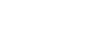 PRO 1