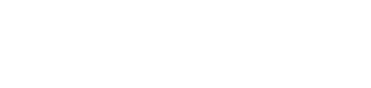 TV BESA